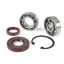 lager  en keerringset voor krukas ombouw naar ets  BGM pro  vespa v50, pv125, et3, pk50, pk80, pk125   1x 6303 + 1x 6005 c3