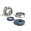 lager en oliekeerring set voor krukas  BGM original (skf 6204/c4 metalen kooi)  minarelli 50cc