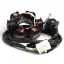 ontsteking  oem kwaliteit stator  peugeot 50 100 cc (modellen zonder startonderbreker)   speedfight1 50 cc, speedfight2 50 cc, xfight50, buxy50, elyseo50, elystar50, looxor50, metalx50, speedake, squab50, sv50, tkrzen50, trekker50