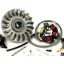 Ontsteking BGM PRO HP V4.0 AC Lambretta GP, DL - CDI bgm Pro Vintage