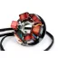 Ontsteking Bgm Pro Stator Hp V2.5 Siliconen (6 Volt) Vespa Et3 (Vmb1t)